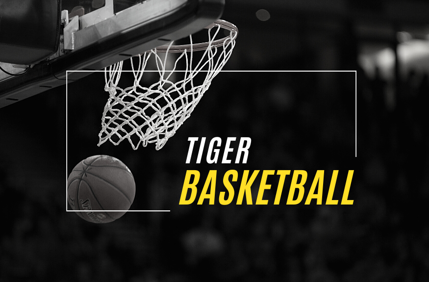 tiger basketball