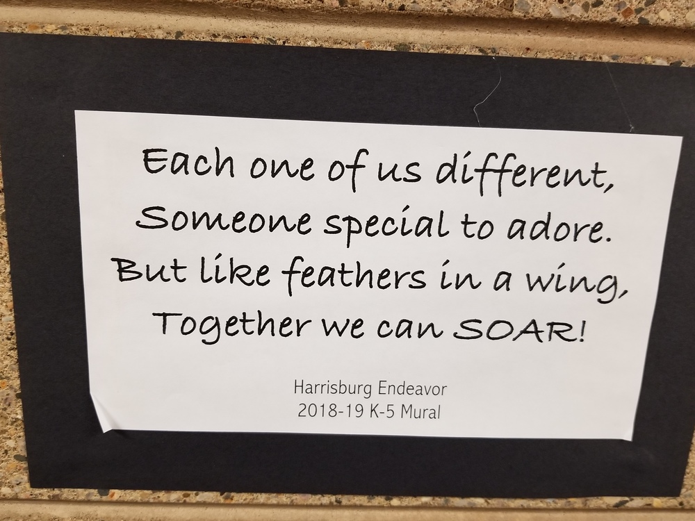 Check out our new Art project in the hallway - Each student contributed a feather!!!