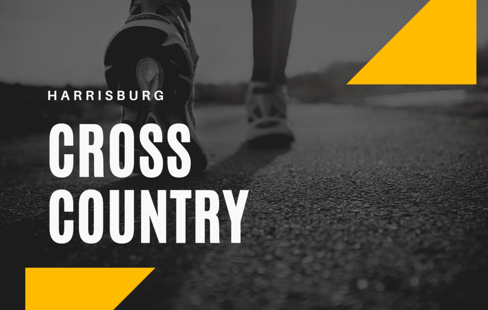 A Snowy Finish: 2020 Cross Country Recap