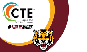 Engaging Learners with Career and Technical mentors during Online Learning