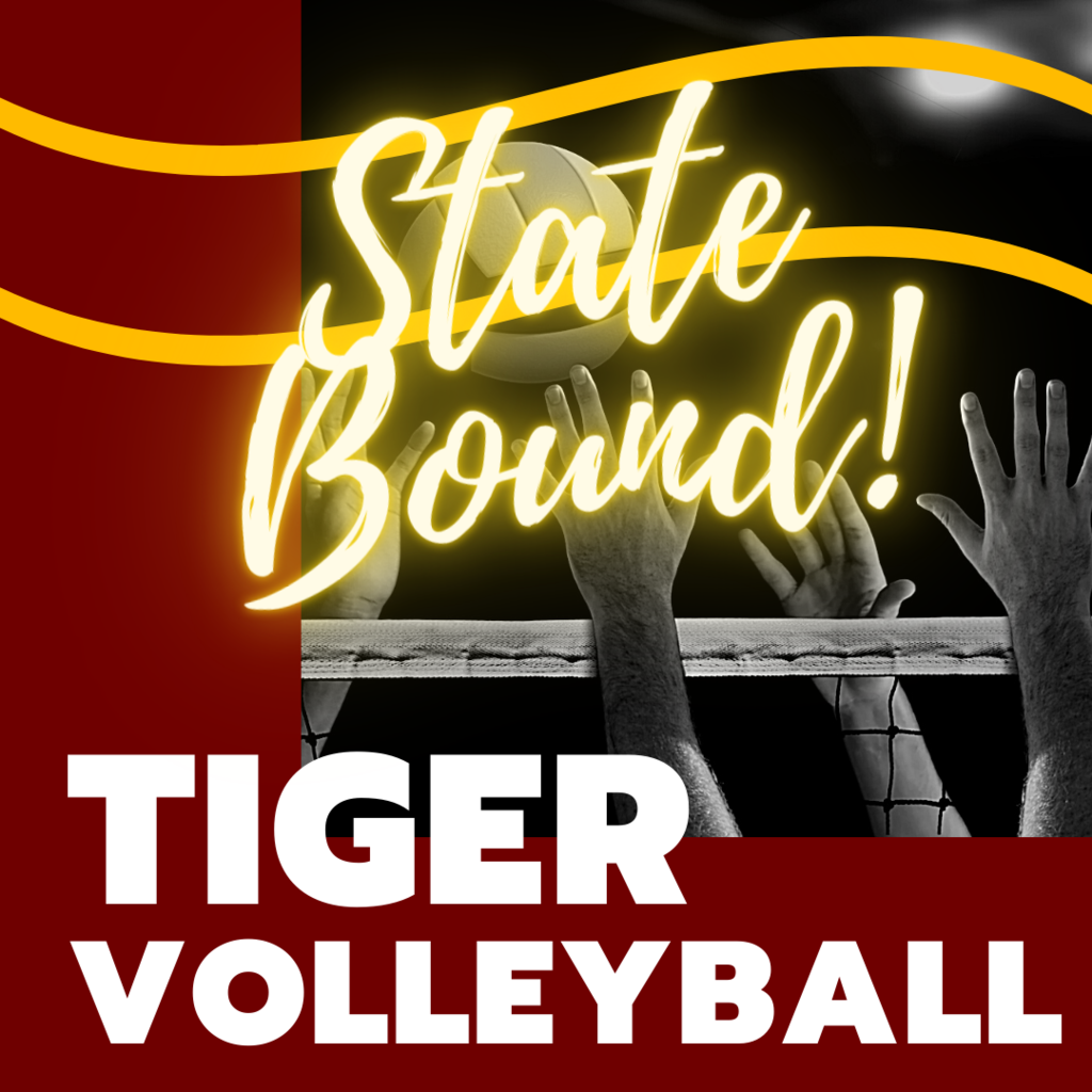 state volleyball tshirts